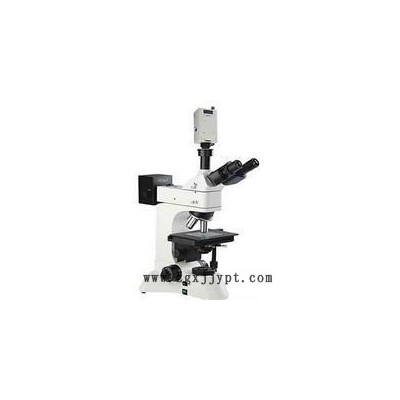 zzz供炭黑分散度检测仪(中西器材) 型号:DJ13-DZ3600库号：M358248