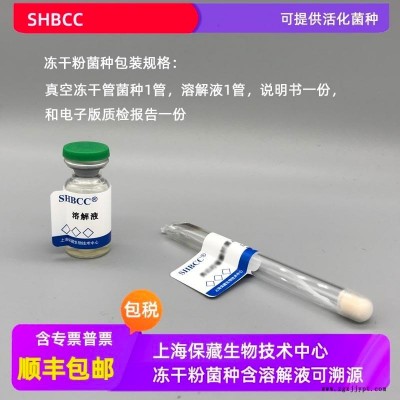 SHBCC 冻干粉 炭黑曲霉AS 3.3558 0代菌种 0代菌株 可定制 厂家直销 上海保藏中心