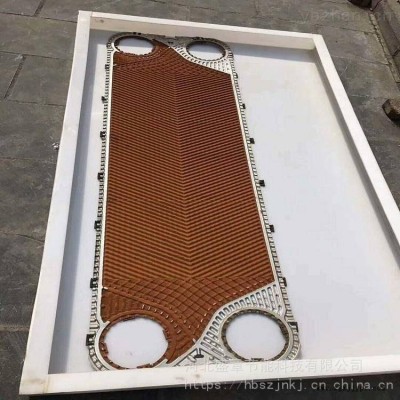 换热器设备板式不锈钢片清洗剂 蓝星牌板片清洗剂图1
