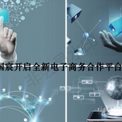 国宸商贸口碑好的蓝波发动机引擎清洗剂批发 厦门蓝波发动机引擎清洗剂