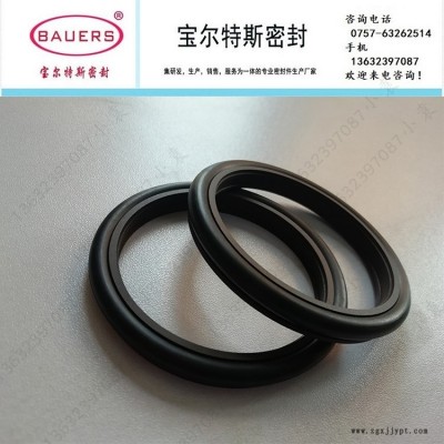 旋转轴用齿形滑环式组合密封TB3-I 发动机齿轮箱密封 高压旋转密封图1