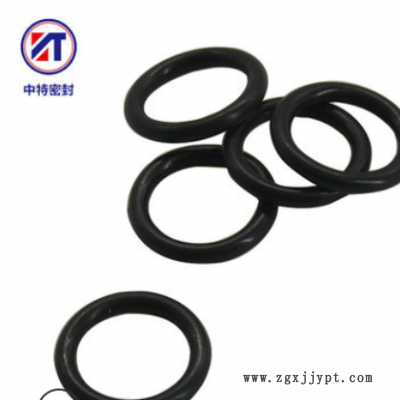 FFKM/FFPM耐高温全氟橡胶O型圈全氟醚O-Ring密封圈耐磨耐压抗变形图2