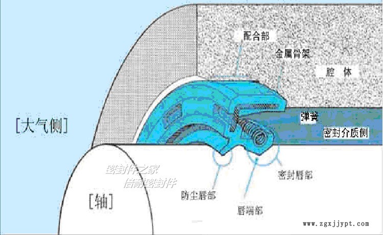 TC图1