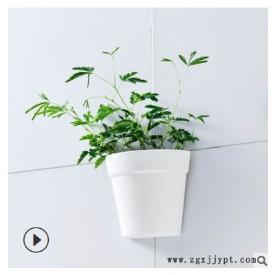 模具厂加工定制塑料花盆硅胶模具 塑料模具开模注塑 塑料花盆模具图3