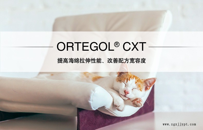 ORTEGOL-R-CXT_01.jpg