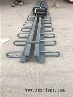 新闻：广东汕头公路桥梁伸缩缝厂家+送货到工地