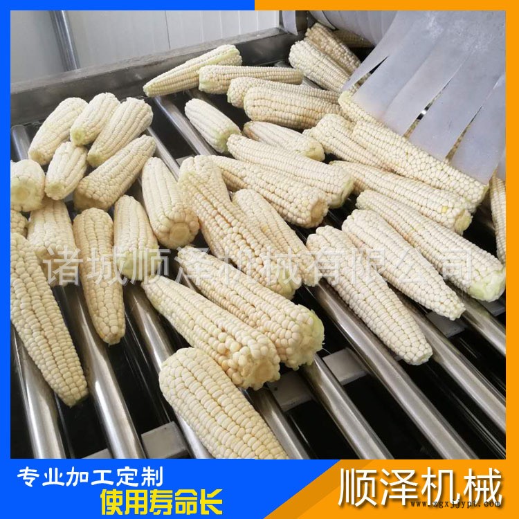 玉米预煮漂烫线 甜玉米杀青漂烫机 玉米切头去尾机示例图6