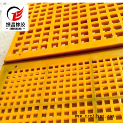 聚氨酯脱水筛网 矿山洗煤厂可用振动筛板 聚氨酯条缝筛板图2