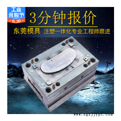 塑料模具加工开模注塑厂家广东塑胶双色精密亚克力件模具制品厂图2