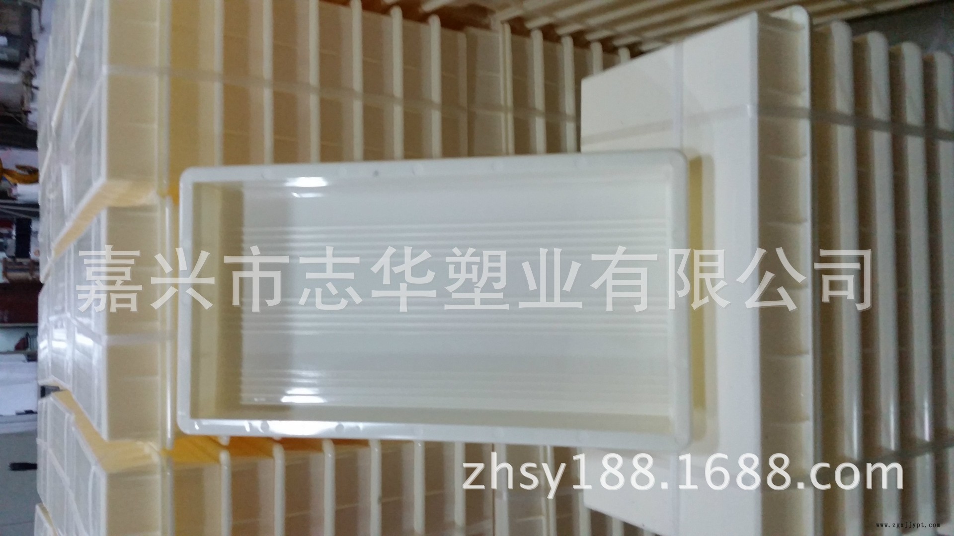 抽条纹