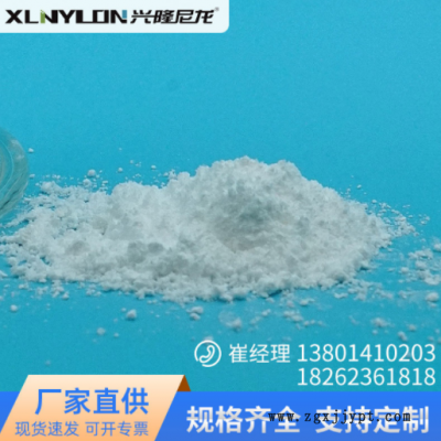 PA1012盐 尼龙盐 用于制备尼龙1012的树脂、工程塑料和共聚尼龙图2