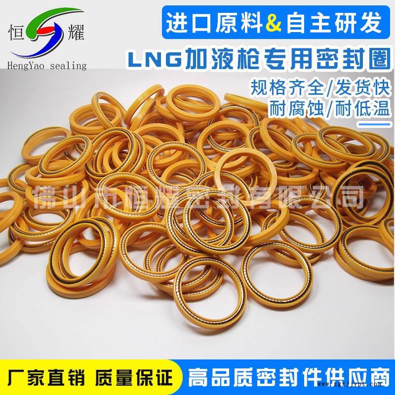 厂家直销LNG进口加液密封圈 LNG专用密封圈批发 LNG泛塞封弹簧示例图6