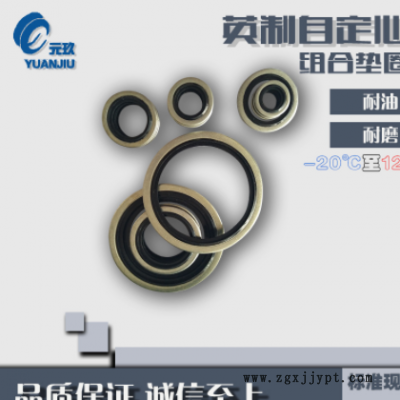 组合垫圈英制自定芯镀锌密封圈 密封垫圈多规格垫片 组合密封垫圈图2