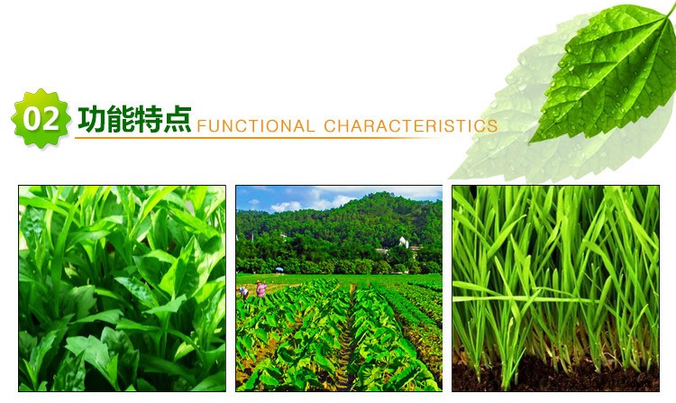 【厂家供应】花木草坪增绿剂 叶绿素促进剂增绿粉 植物生长调节剂示例图3