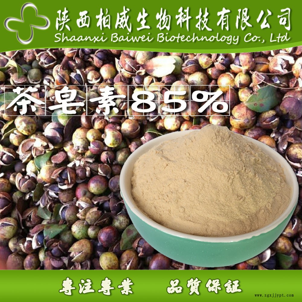 茶皂素 茶树籽提取物 发泡剂 天然非离子表面活性剂 现货批发价格示例图3