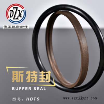 厂家批发HBTS斯特封轴用组合孔密封圈耐磨耐高温耐腐蚀橡胶圈定图1