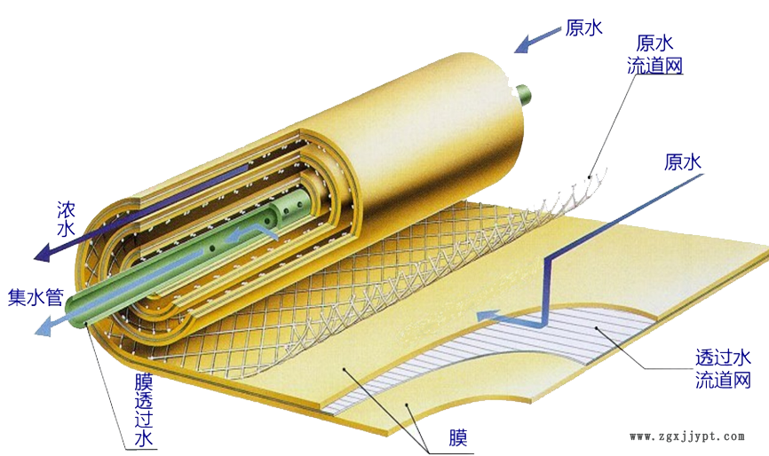 图片 1.png
