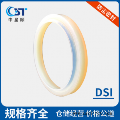 防尘密封油封DSI防尘密封件工业密封件液压与气动密封件机厂家图1