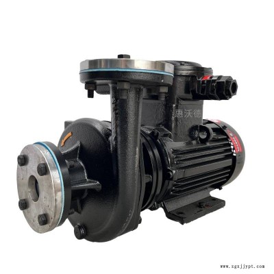高温200度导热油泵RGP-10泵 750W模温机泵浦 热水循环泵图3