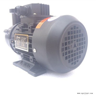 奥兰克高温热油泵 WM-10S-200模温机泵 循环泵图2