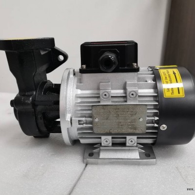 高扬程耐高温模温机用热水泵YS-15A高低温热油泵WM-05图2
