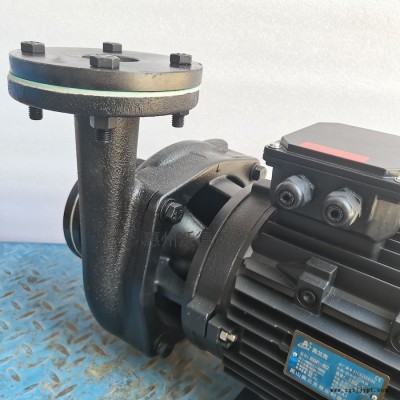 RGP-100-180奥兰克高温热油循环泵 模温机泵