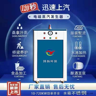性能高电加热设备 模温机用电加热蒸汽发生器 电热蒸汽锅炉 沧州国扬厂家 可按需定制图1