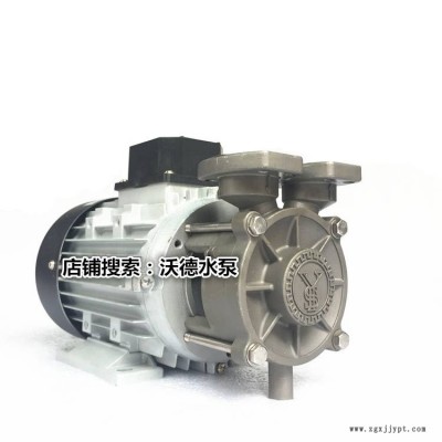 高温导热油泵 热水循环泵YS-4081FS泵 模温机马达 元新泵