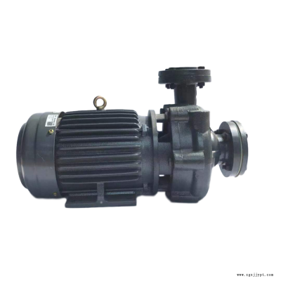 TECOTA MOTORI高温油泵 YS-35G泵 7.5KW模温机马达 热水泵图2