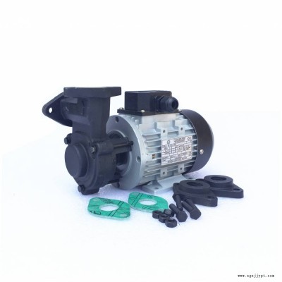 TECOTA MOTORI高温油泵 YS-35G泵 7.5KW模温机马达 热水泵图3