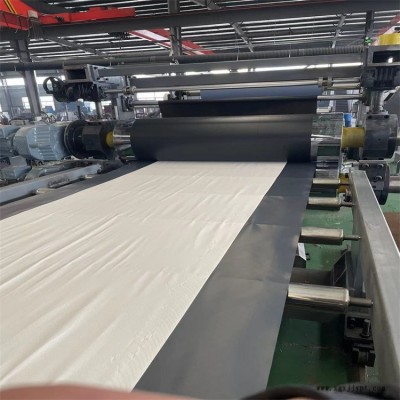 丁基胶防水卷材挤出机_丁基胶防水片材挤出机_玖德隆塑机图1