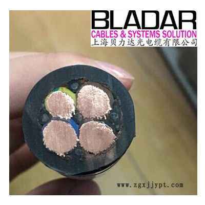 BLADAR上海贝力达生产厂家 机器人电缆 高柔性机械手电缆图7