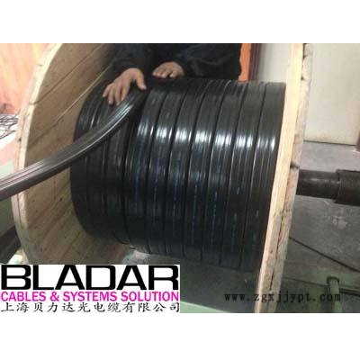 BLADAR上海贝力达厂家价格 行车扁电缆 高柔性机械手电缆图2
