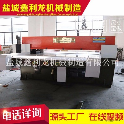 鑫利龙机械厂家供应100吨餐盒吸塑包装盒 单边送料液压裁断机 饭盒自动裁断机 可加机械手