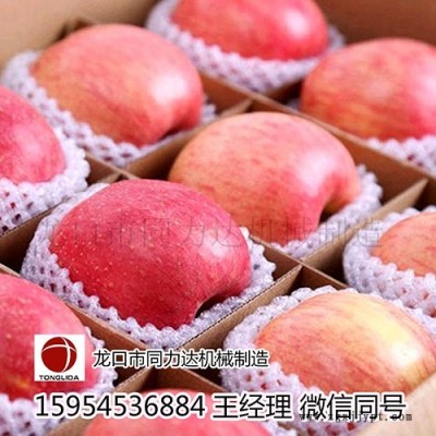 木瓜包装网套机，苹果网套机，珍珠棉机