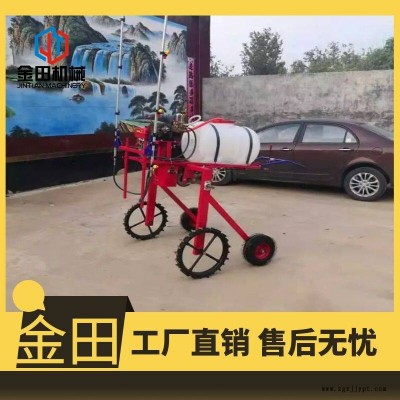金田机械手推喷杆式打药机 手扶式蔬菜打药机图3