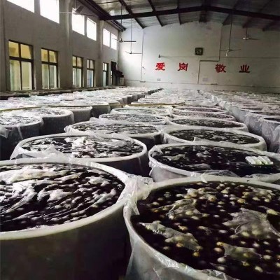 万州区双层圆桶-朗盛塑料-双层圆桶使用方法
