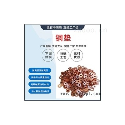 铜垫图1