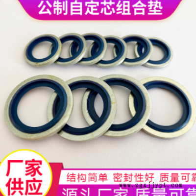 304不锈钢镀白锌密封平垫圈非标加厚O型橡胶组合密封垫片厂家批发图2