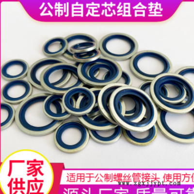 304不锈钢镀白锌密封平垫圈非标加厚O型橡胶组合密封垫片厂家批发图3