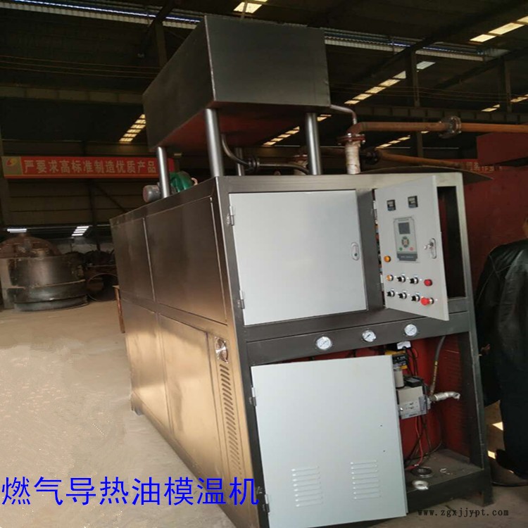 燃气模温机厂家/节能模温机燃气导热油炉/环保燃气锅炉示例图3
