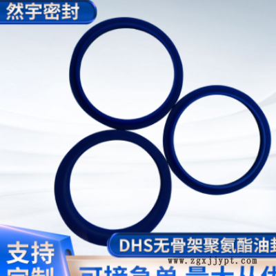 FA聚氨酯防尘圈蓝色DHS密封圈图2