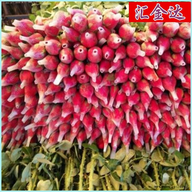 网套机多少钱一台珍珠棉网带设备汇欣达网套机设备