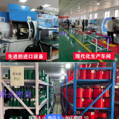 厂家供应泛塞封密封圈轴孔用PTFE泛塞封弹簧蓄能密封圈泛塞封定做图3