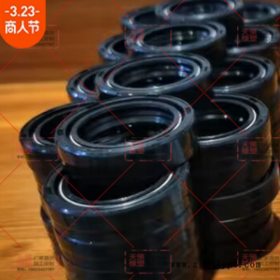 批发摩托车电动车前减震器油封 减震前叉油封 防尘盖 27 31 43图2