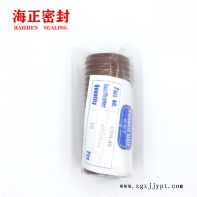 自己工厂生产 氟胶液压油封 USH UPH LBH 骨架油封 氟胶油封图2